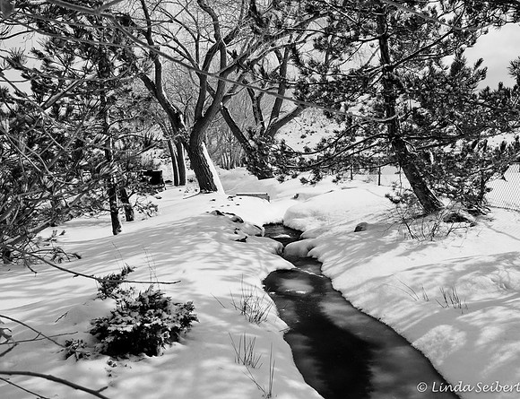 Snowy Creek