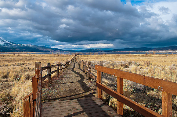 Washoe Walkway II