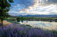 Damonte Ranch Dusk