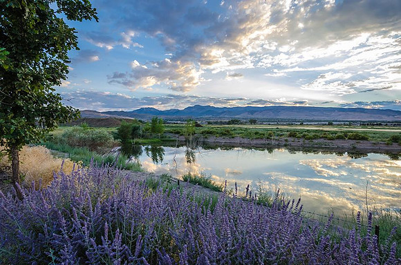 Damonte Ranch Dusk