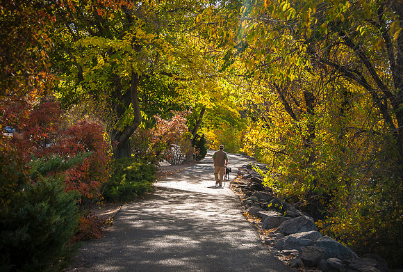 Idlewild Park